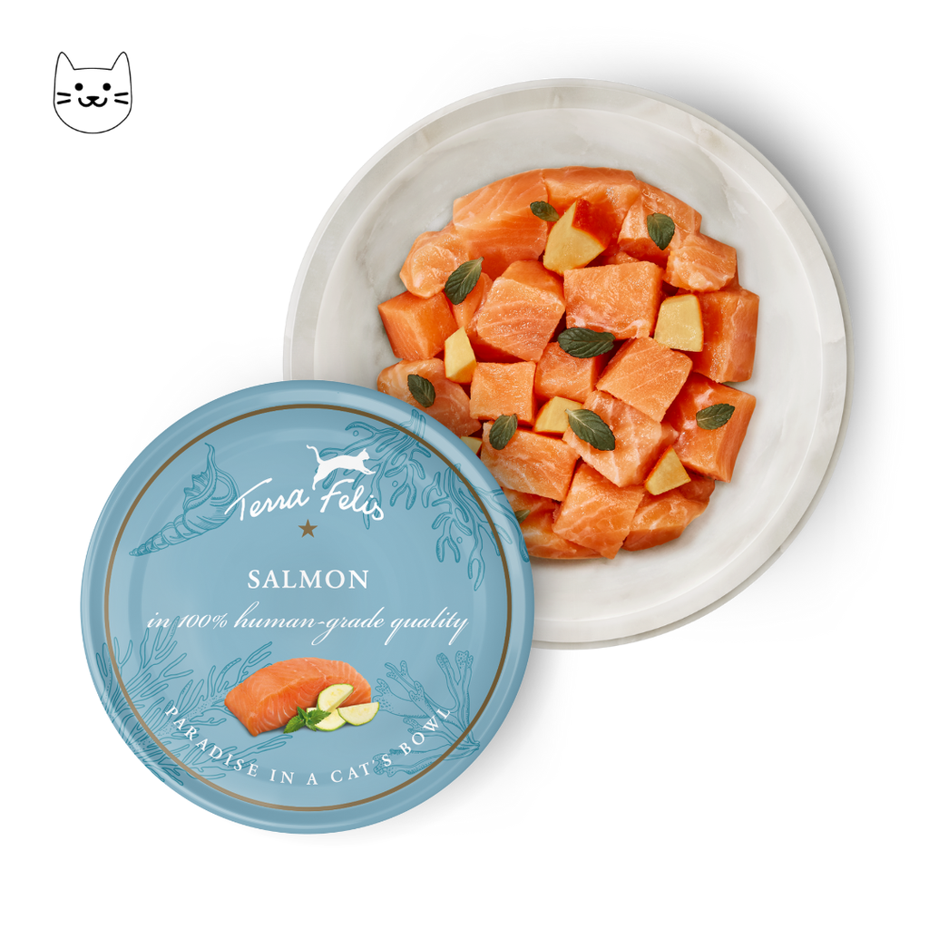 TERRA FELIS MONO - Salmon